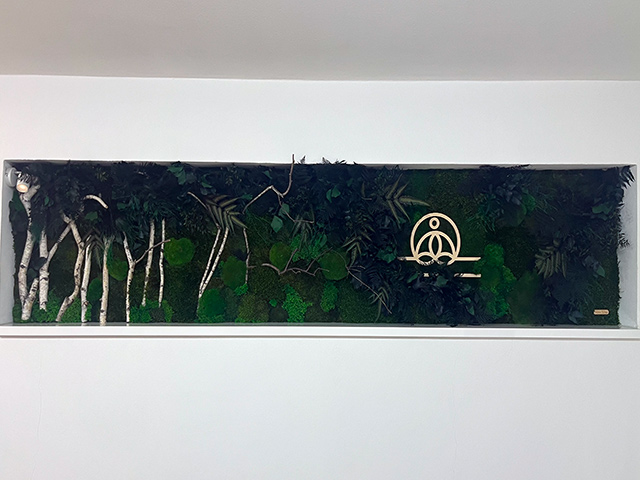 Mechové logo břízový háj