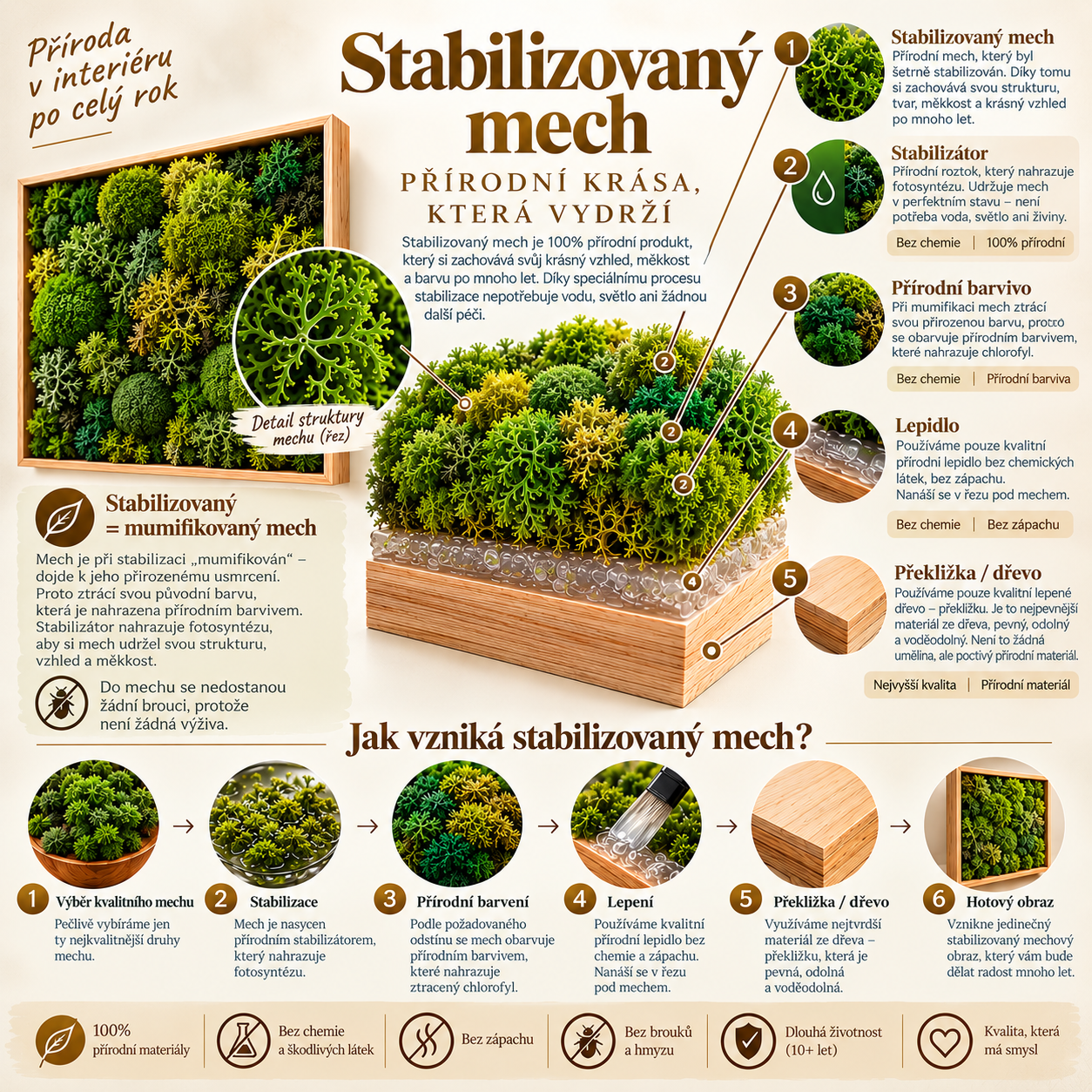 popis - řež stabilizovaného mechu